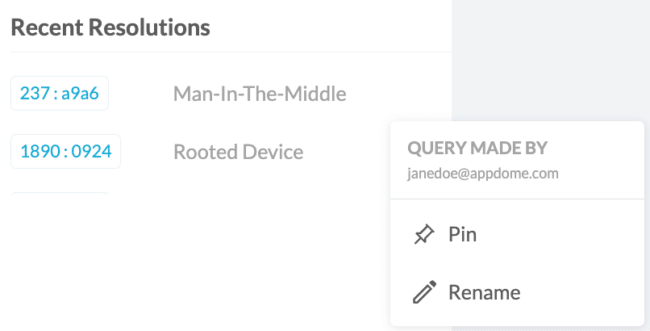 Recent Resolution options include Query Made By, Pin resolution and rename resolution